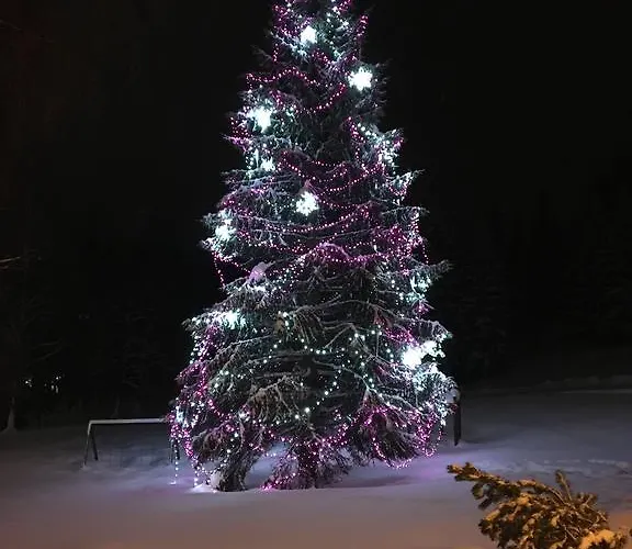 Daire Le Mont Špindlerŭv Mlýn