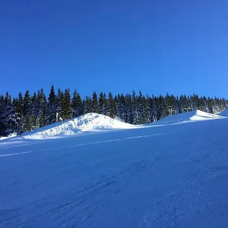 Apartment Le Mont Špindlerŭv Mlýn