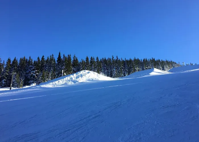 Apartment Le Mont Spindleruv Mlyn